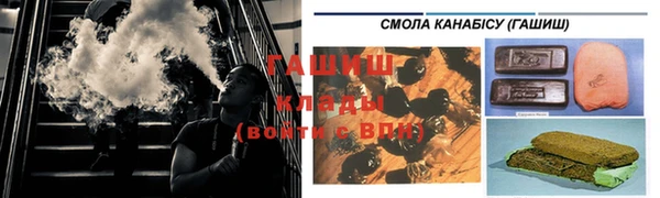PSILOCYBIN Алзамай