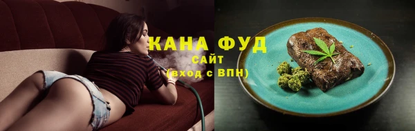 PSILOCYBIN Алзамай