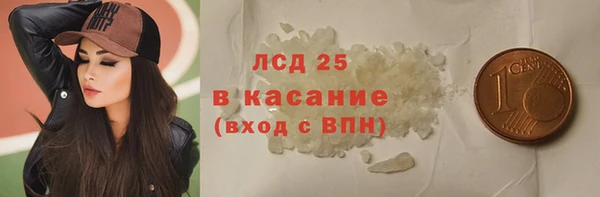 PSILOCYBIN Алзамай