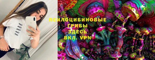 PSILOCYBIN Алзамай
