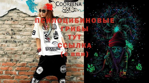 PSILOCYBIN Алзамай