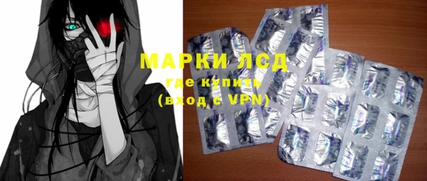 PSILOCYBIN Алзамай