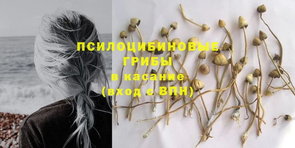 Альфа ПВП Сатка