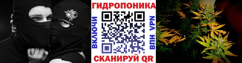 МАРИХУАНА White Widow  Катав-Ивановск 